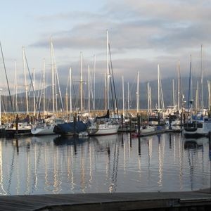 Meet your Posher, Evie